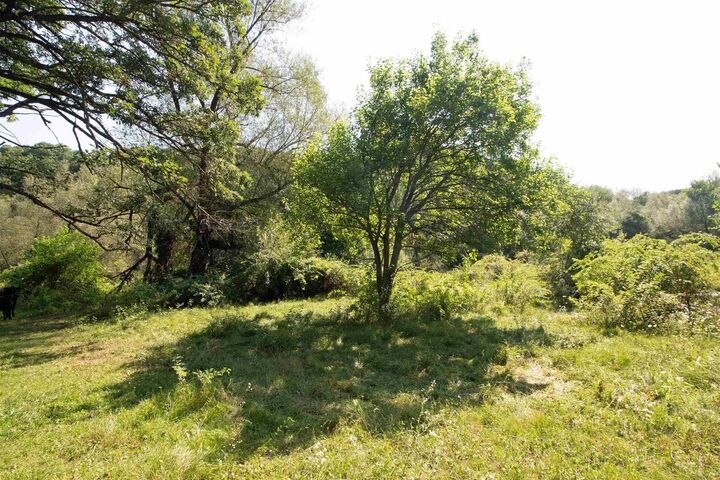 Property Photo:  40 Acres County Hwy H  WI 53582 