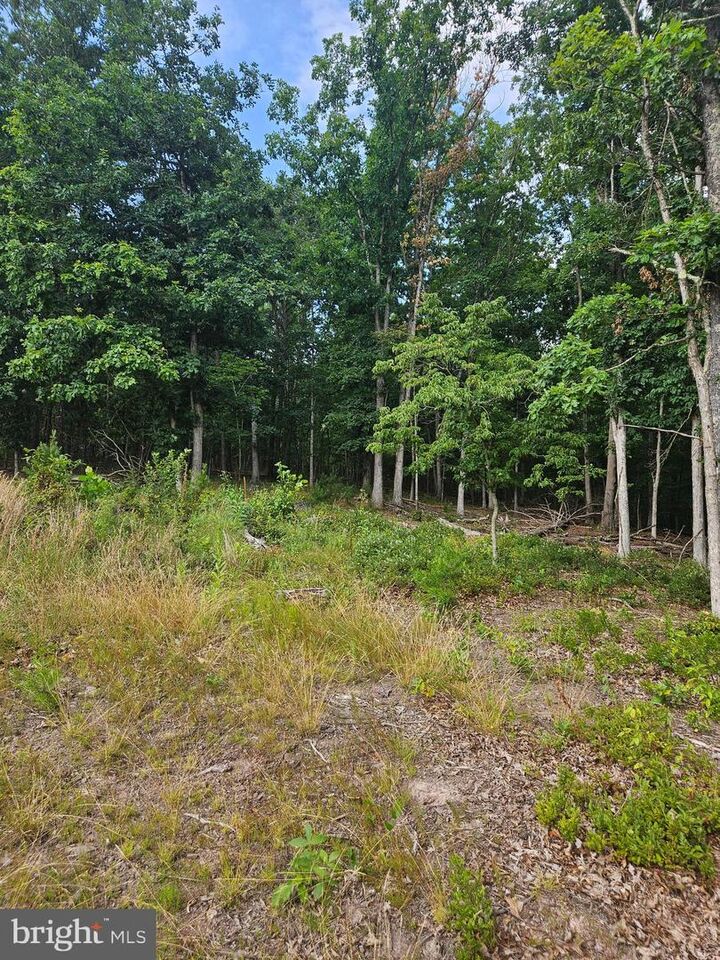 Property Photo:  Lot 2 Blackberry Meadows No Physical Address  WV 25434 
