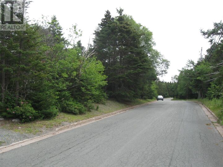 Property Photo: 53 A Lawrence Pond Road East NL A1X 4C6
