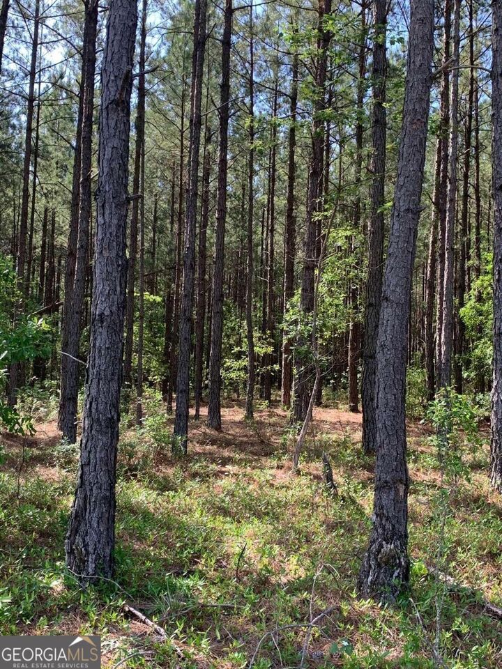 Property Photo: 0 Pollett Road Lot 29 GA 30413