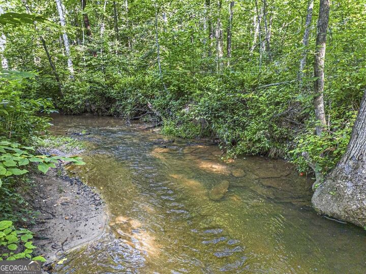 Property Photo:  245 Sunrise Valley Road  GA 30513 
