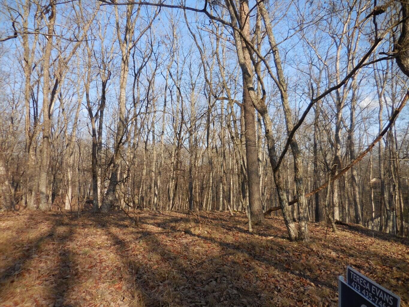 Property Photo: 133 Greenbrier Loop TN 38558
