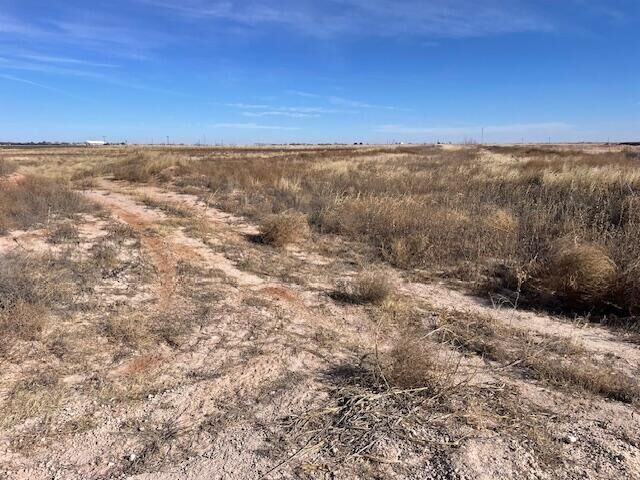 Property Photo: 10 Lovebird Road TX 79367