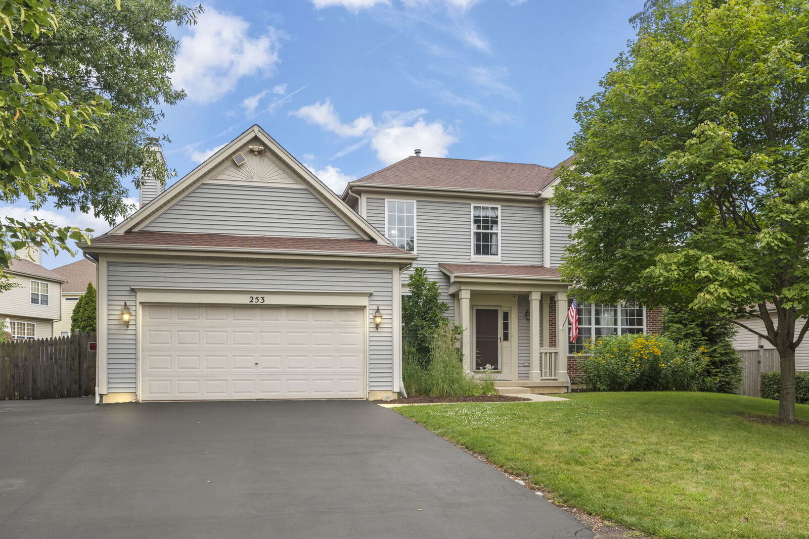 Property Photo:  253 Carlton Mews Court  IL 60554 