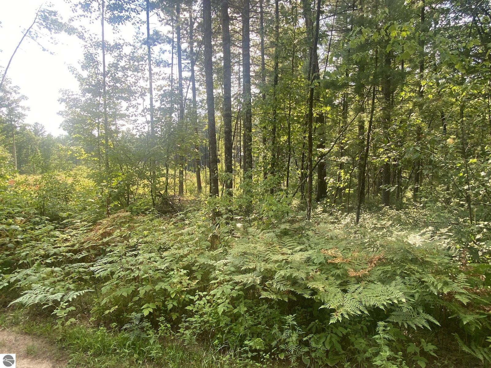 Property Photo: 00 S Emma Avenue MI 49304