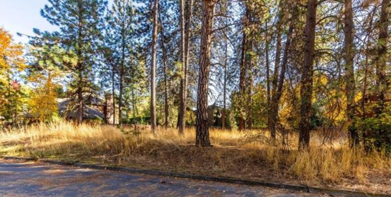 Property Photo: Xxxx S Madelia St WA 99223
