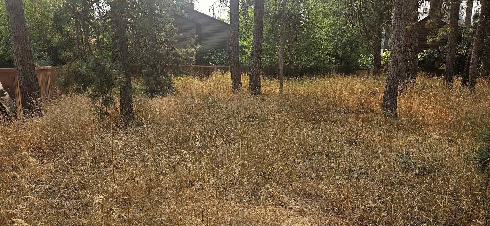 Property Photo:  Xxxx S Madelia St  WA 99223 