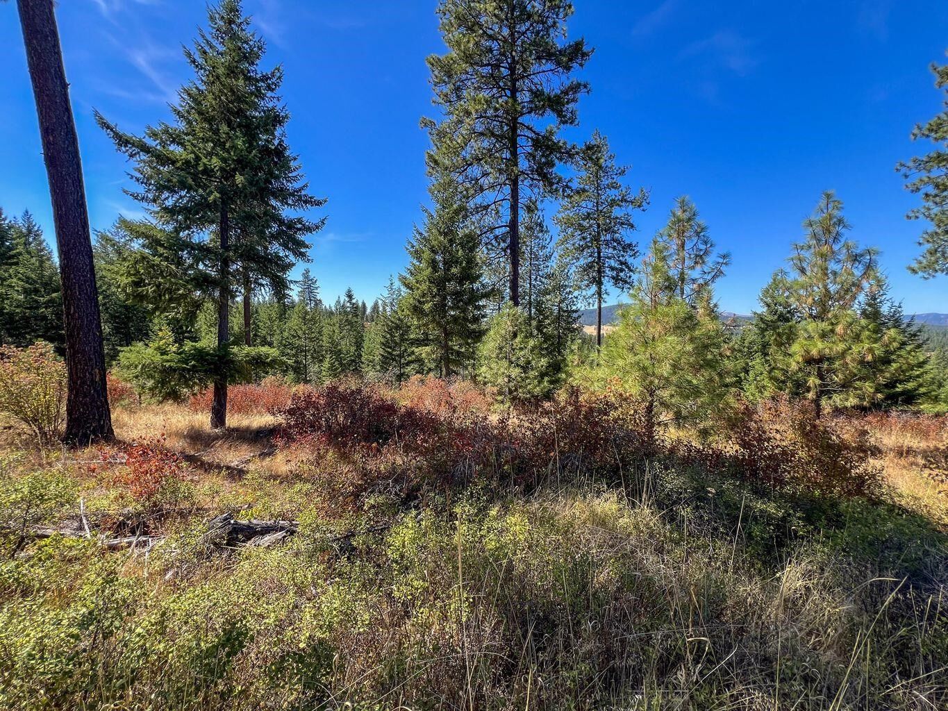 Property Photo: 52xx Lot 7 Swenson Rd WA 99006