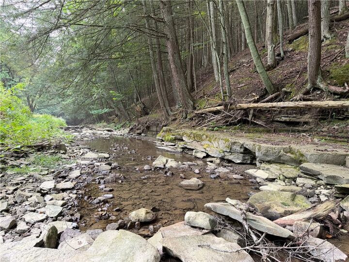 Property Photo: Wp01 Starr Road NY 14821