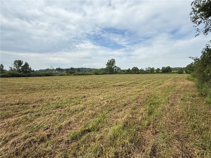Property Photo:  Halseyville Road  NY 14886 