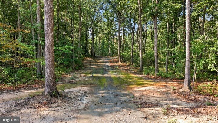 Property Photo: 13009 Orange Plank Road VA 22508