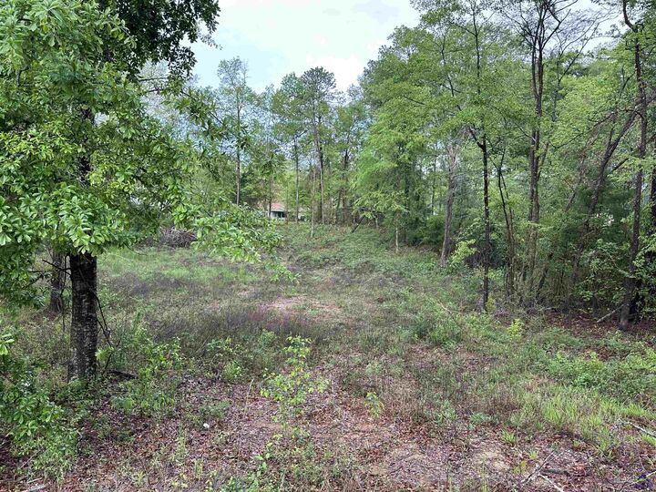 Property Photo: 7515 Goodall Mill Road GA 31216