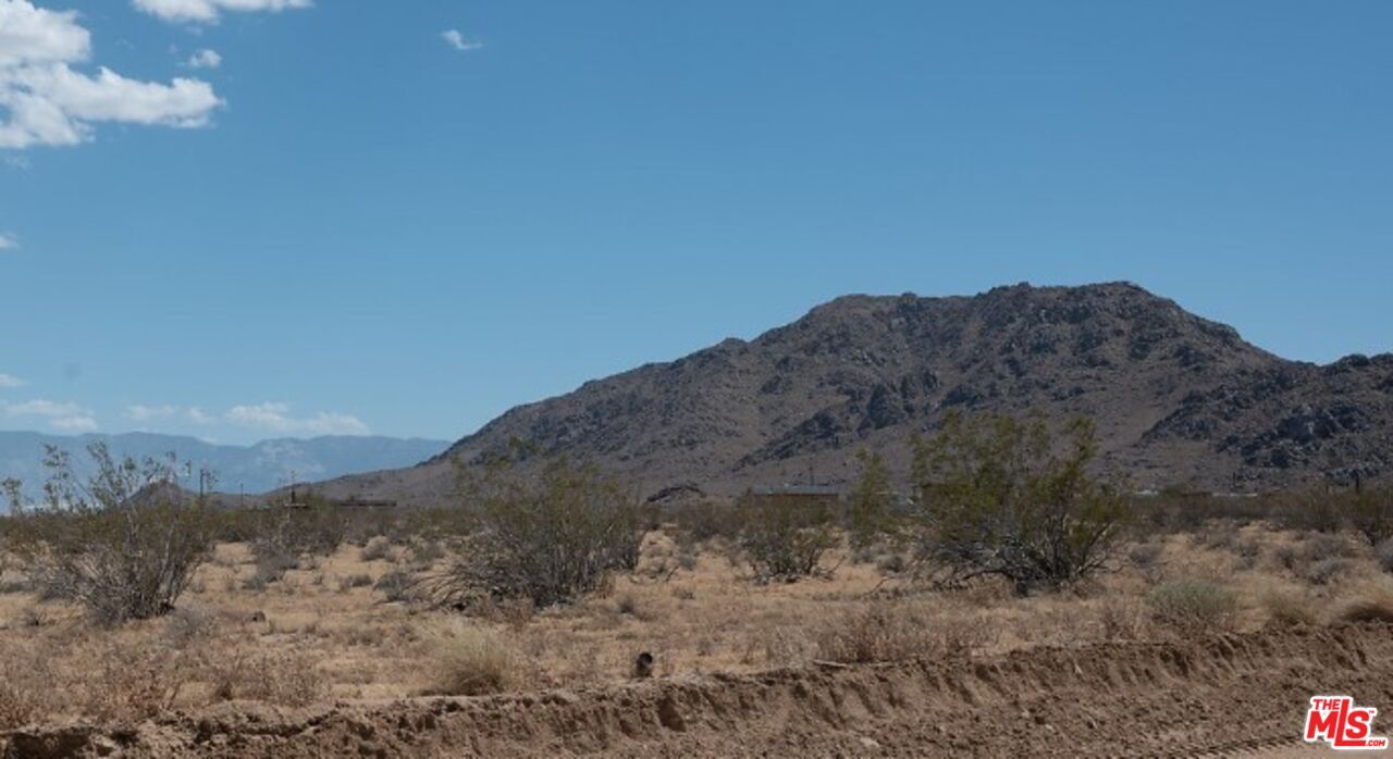 Property Photo:  1 Desert Flower  CA 92301 