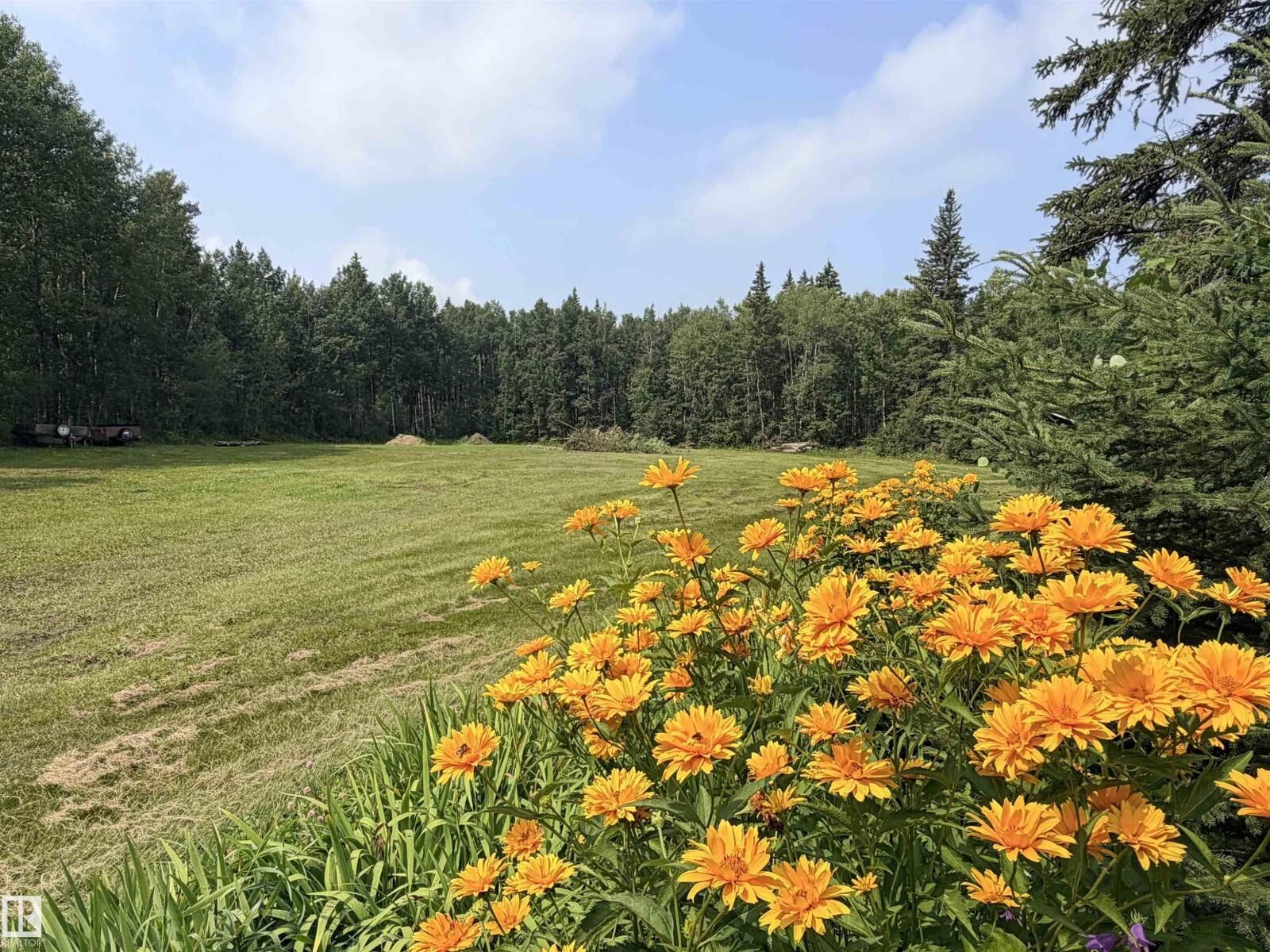 Property Photo:  3306 Rail Grade Rd  AB T0E 0A0 