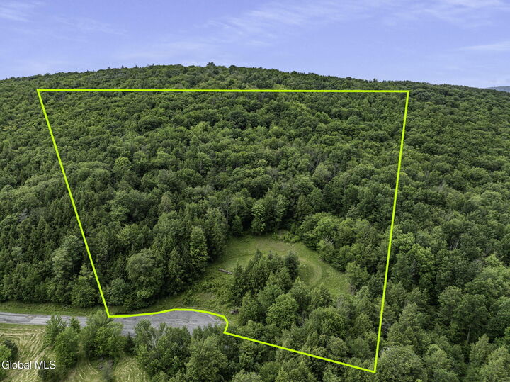 Property Photo: L28.2 Deer Lane NY 12452