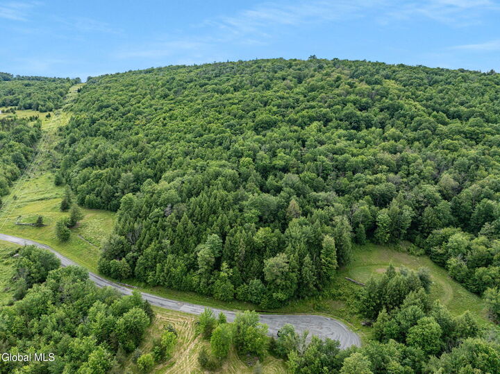 Property Photo: L28.1 Deer Lane NY 12452