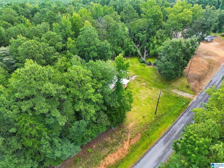 Property Photo: 658 County Road 249 1 AL 35046