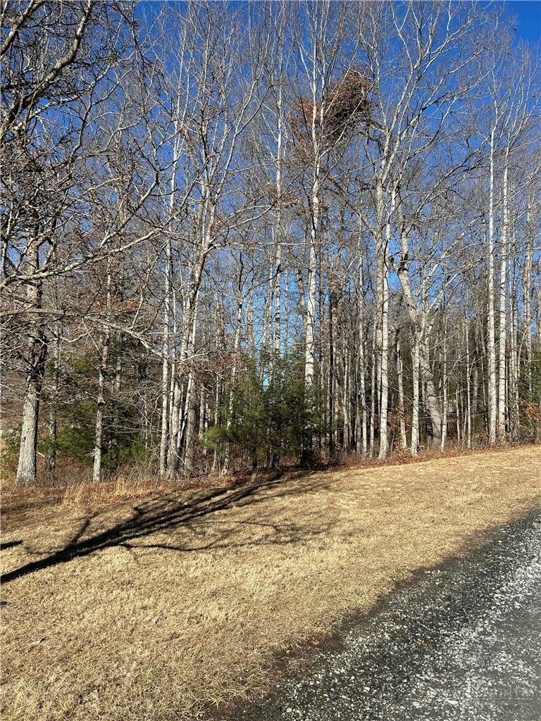 Property Photo:  Lot 23 Bear Den Road  NC 28675 