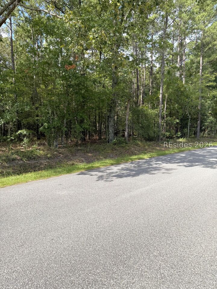 Property Photo: 76 Honey Drive SC 29488