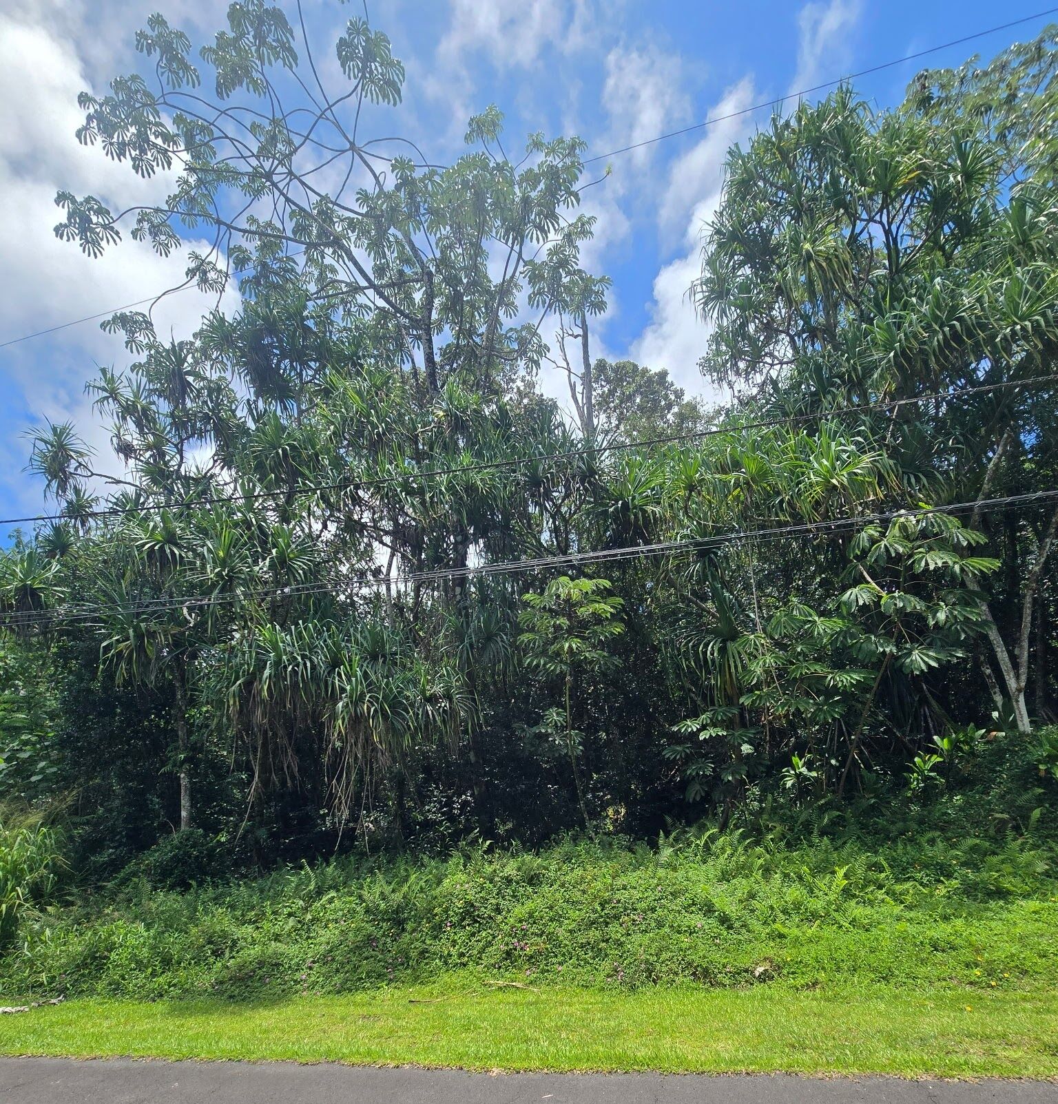 Property Photo: Nenue St HI 96778