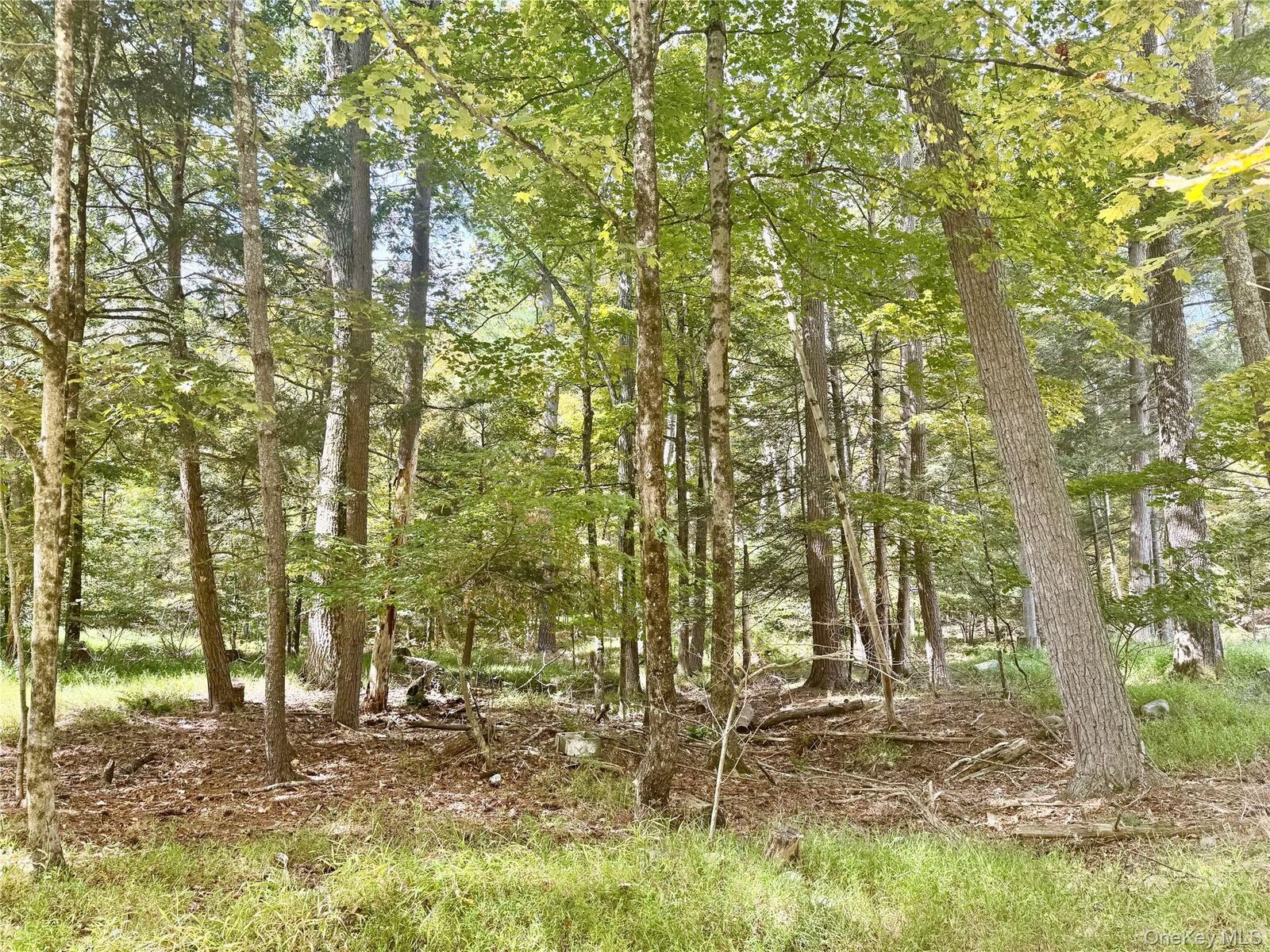 Property Photo: 5 Trails NY 12729