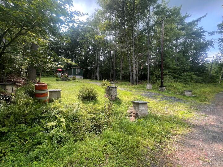 Property Photo:  101 Lake Country Lane  NY 12764 