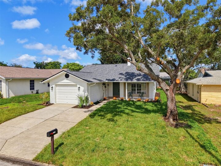 Property Photo: 10819 Los Santos Dr FL 34668