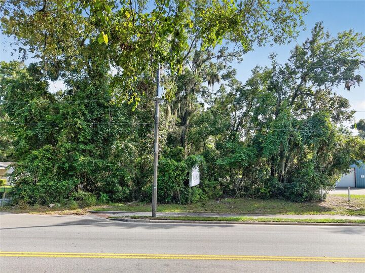 Property Photo:  Tbd NW 1st Avenue  FL 32643 
