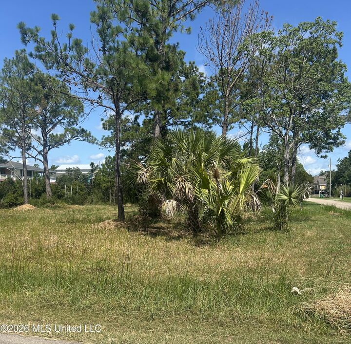 Property Photo: 0 Whale Avenue MS 39520