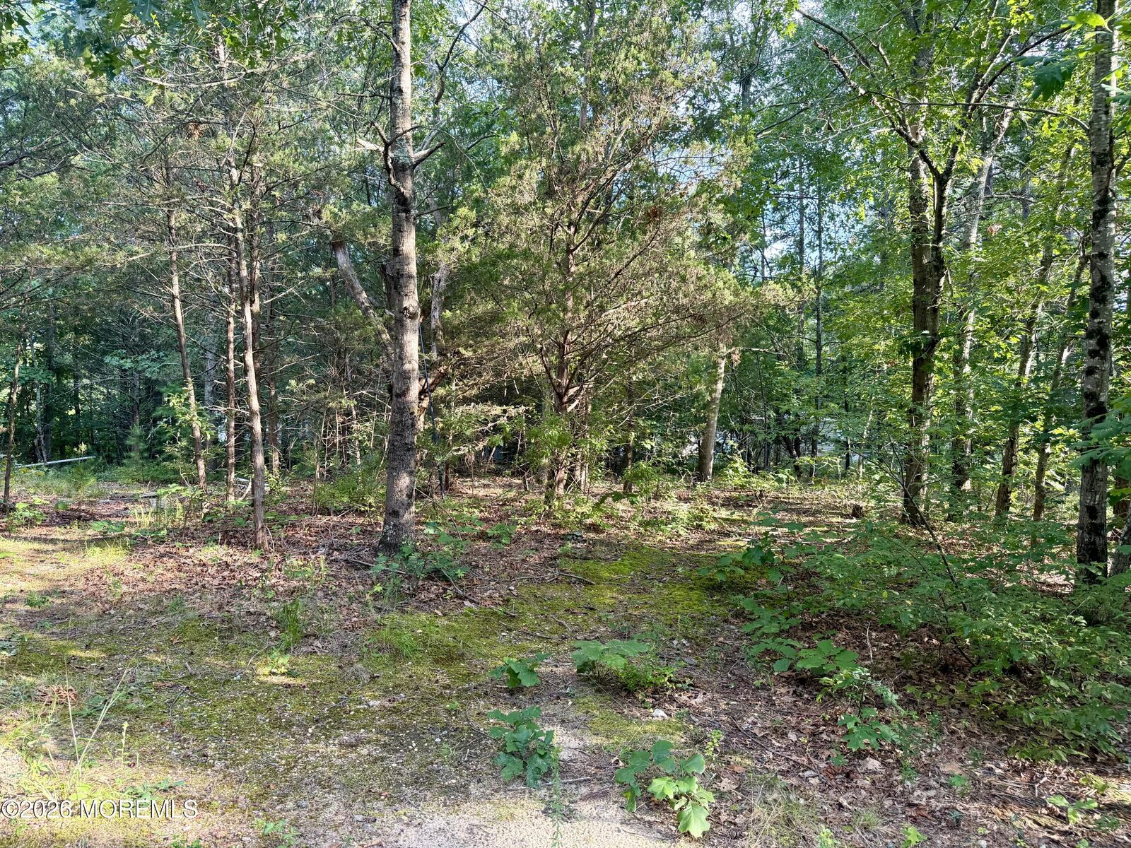 Property Photo:  0 Lakehurst Avenue  NJ 08527 