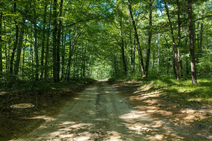 Property Photo: 36 N Coe Road MI 49656