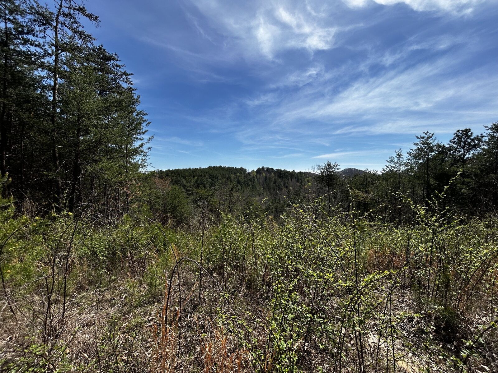 Property Photo: 0 Owl Hollow Rd SW TN 37353