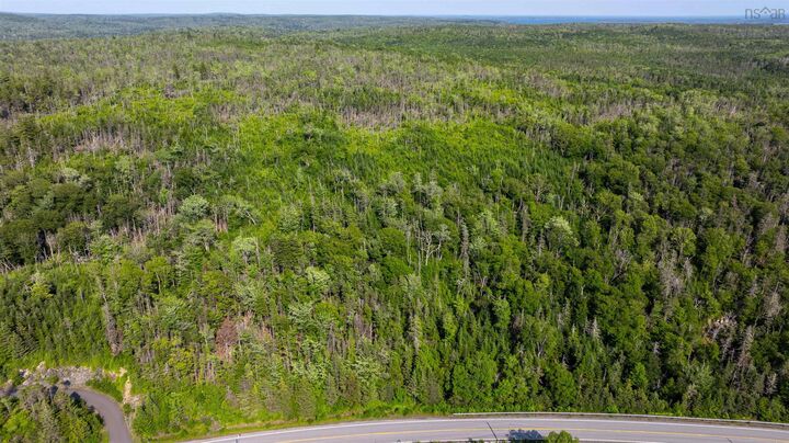 Property Photo:  29 Acre Parcel Highway 7 Highway E  NS B0J 3H0 