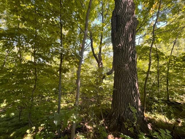 Property Photo: Lot 3 60th Avenue WI 54028