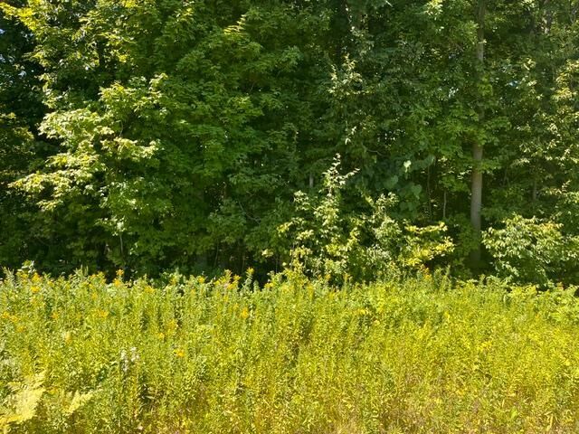 Property Photo: Lot 2 County Rd Bb WI 54028