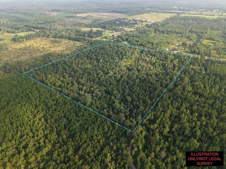 Property Photo: 6414 Hwy 12 LA 70657