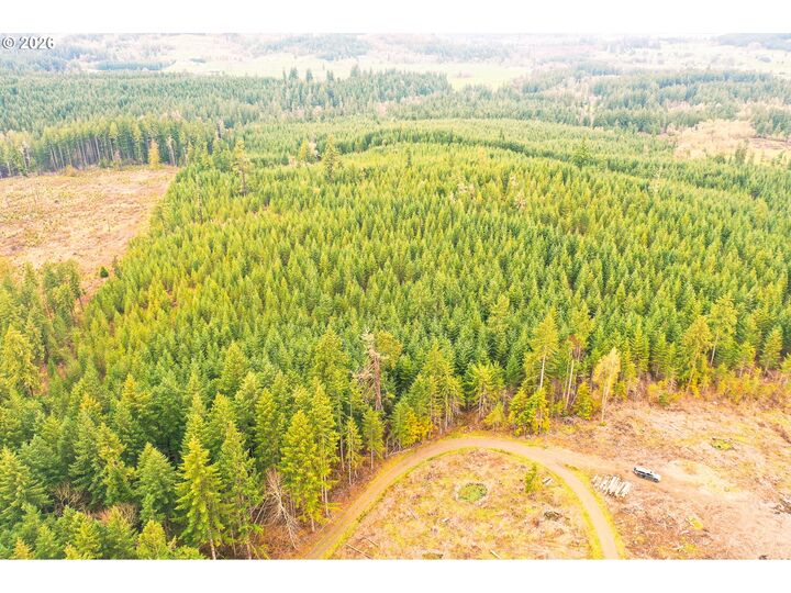 Property Photo:  Anthony Creek Rd Tl700  OR 97431 