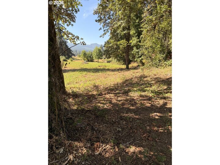 Property Photo:  McKenzie Hwy  OR 97477 