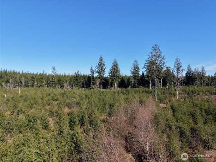 Property Photo: 0 36.75 Ac Kirkpatrick Road WA 98550
