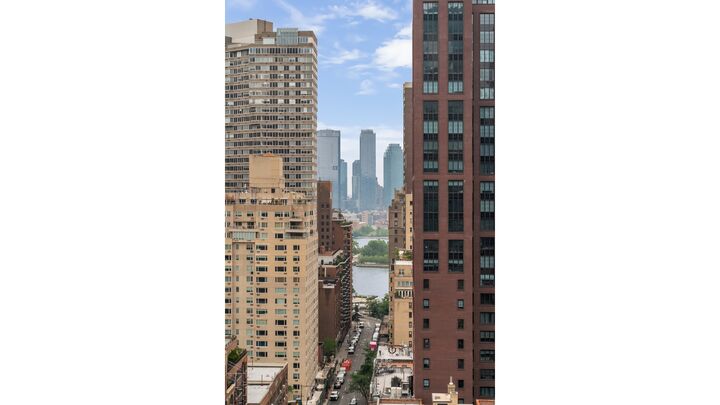 Property Photo: 310 E 53rd Street 19A NY 10022
