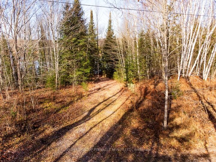 Property Photo:  Lot 7 Comfort Drive  ON K0M 1R0 
