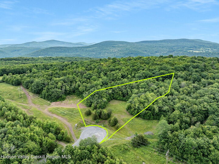 Property Photo:  L39 Overlook  NY 12452 