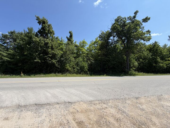 Property Photo:  7881 Meridian Line Road  MI 49751 