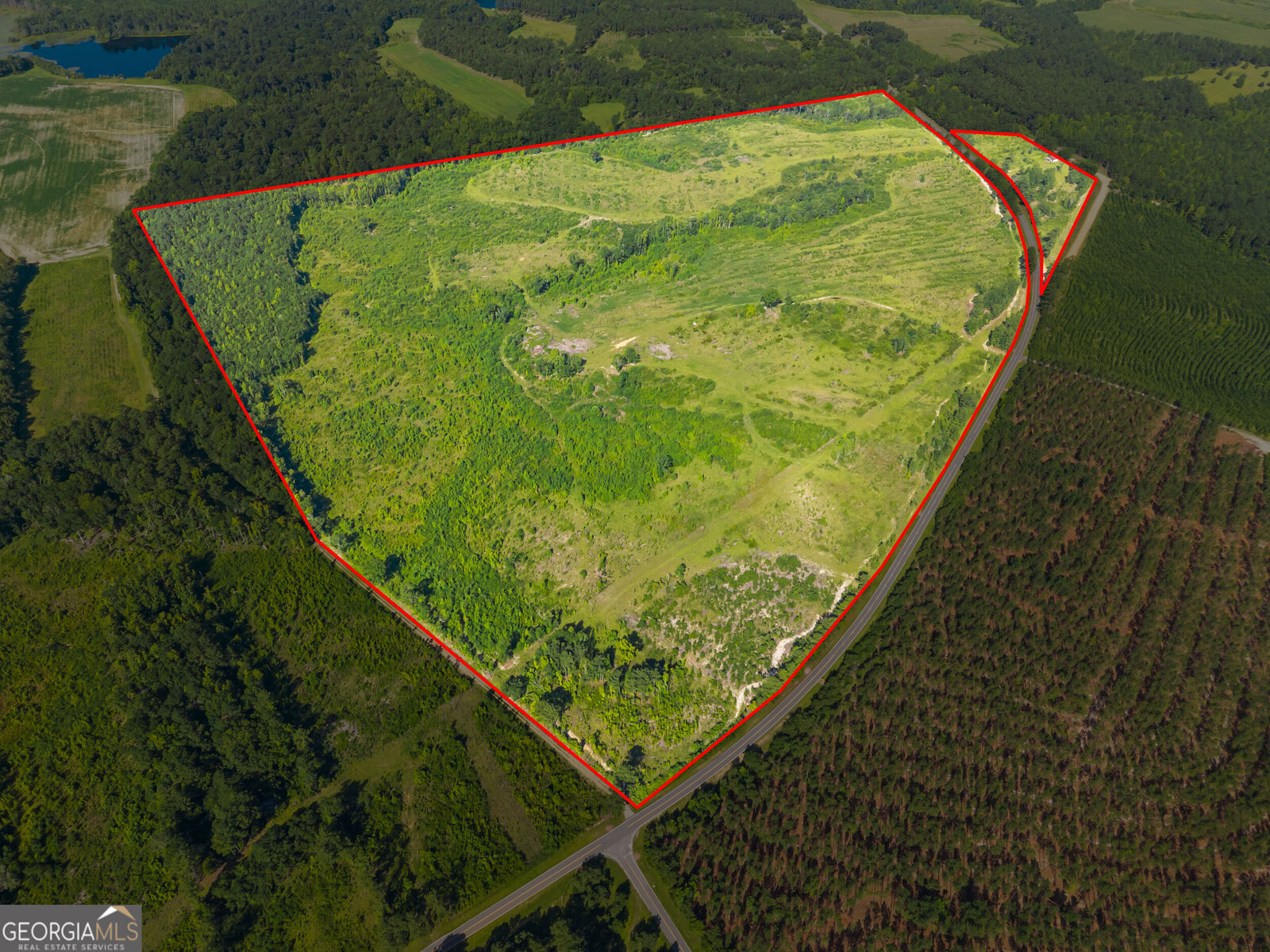 Property Photo:  3605 Perkins Hiltonia Road  GA 30442 