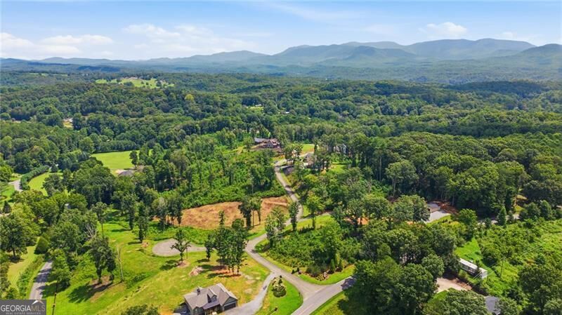 Property Photo:  17 Mystic Drive  GA 30540 