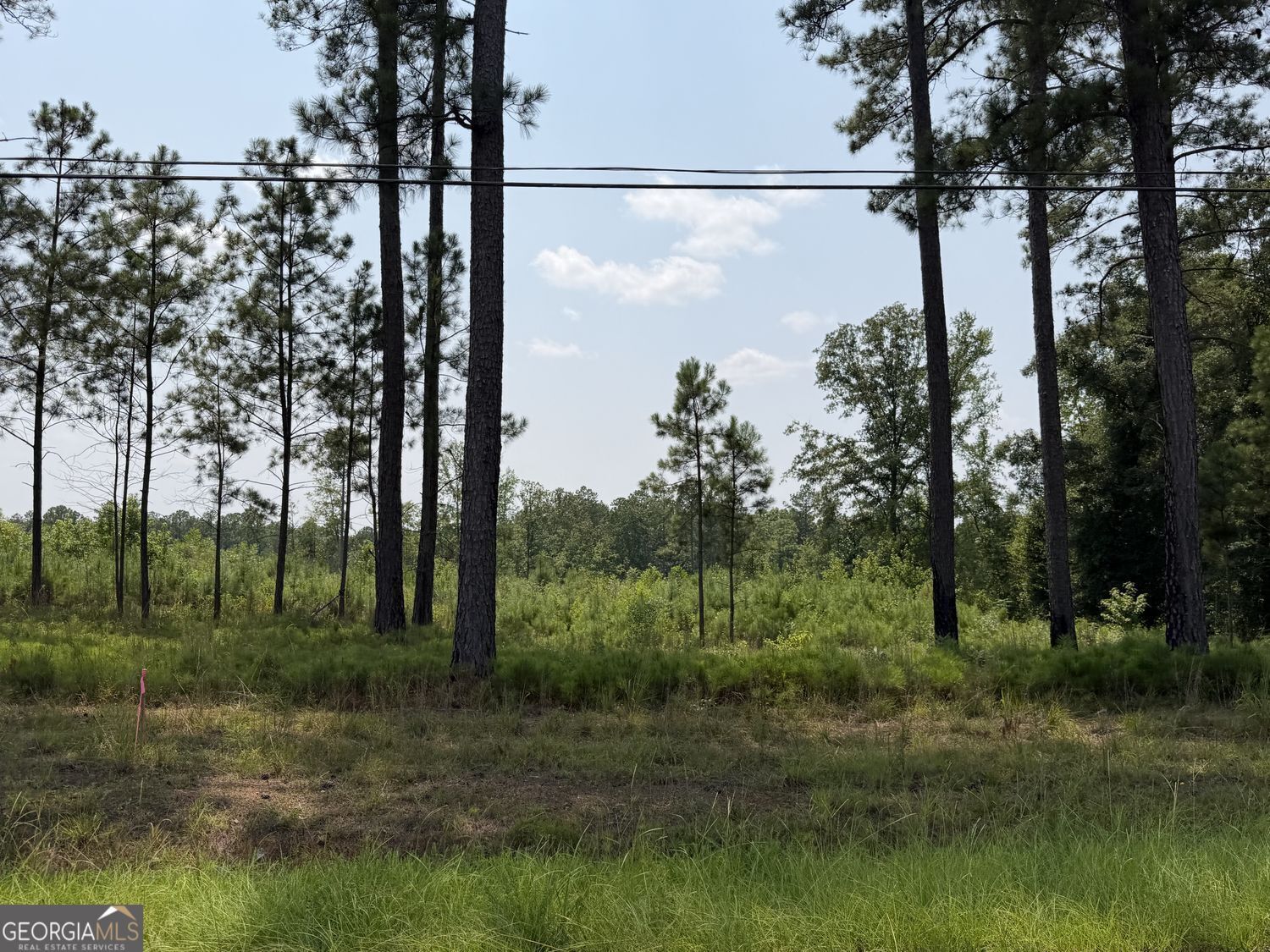 Property Photo: 722 Giles Road GA 31029