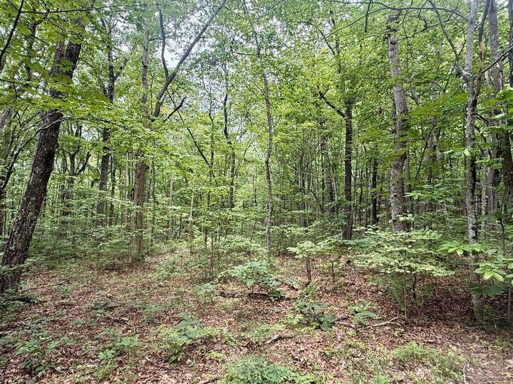 Property Photo: 59.73ac Windridge Drive TN 37327