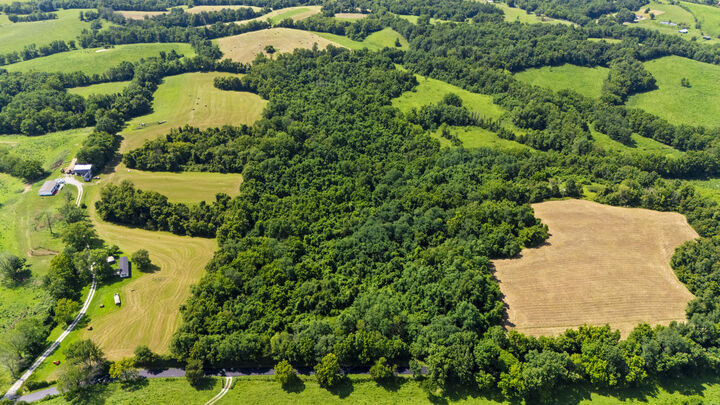 Property Photo:  223B Plum Lick Road  KY 40361 