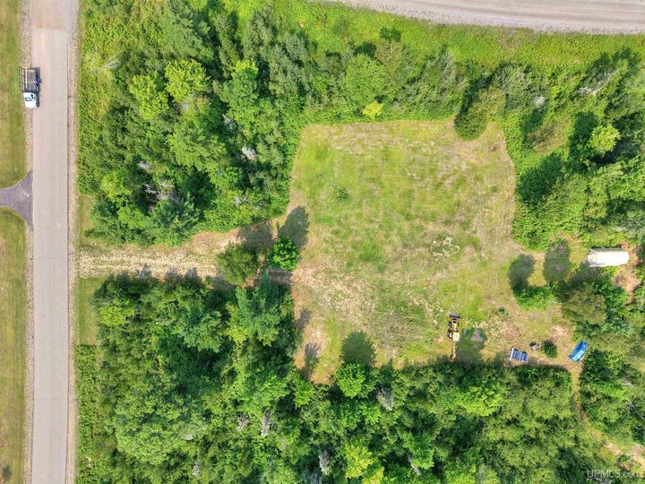 Property Photo:  2360 Goldmine Creek Drive  MI 49849 
