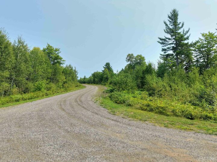 Property Photo:  Tbd N Greenwood Lake Drive  MI 49849 